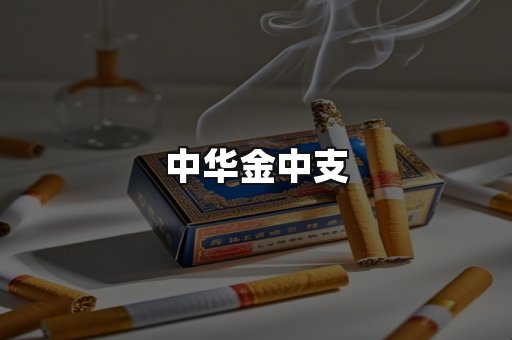 中华金中支